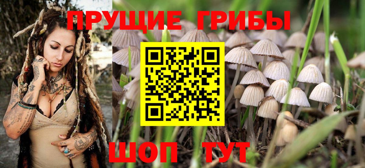 Еманжелинск  Галлюциногенные грибы GOLDEN TEACHER  Вход с VPN 